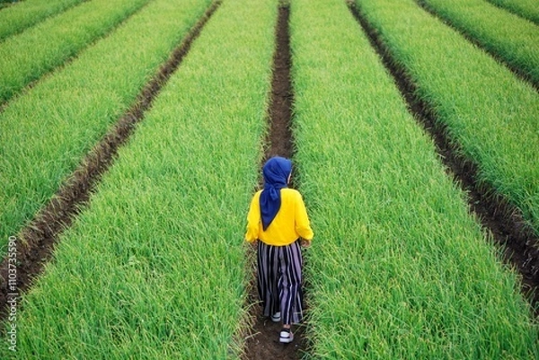 Obraz Walking at The Onion Plantation