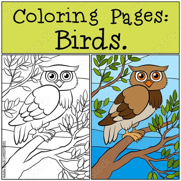 Fototapeta Coloring Pages: Birds. Little cute owl sits on the tree branch.
