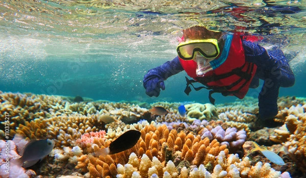 Obraz Snorkeling dla dzieci w Great Barrier Reef Queensland w Australii