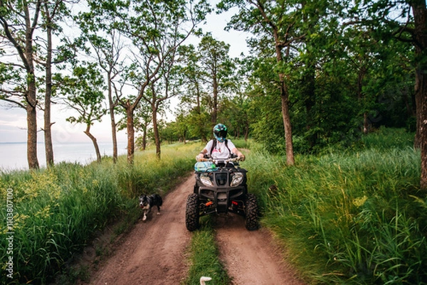 Fototapeta a girl and a guy bikers ride quad bikes in a beautiful green forest on a river cliff, their dogs are running nearby
