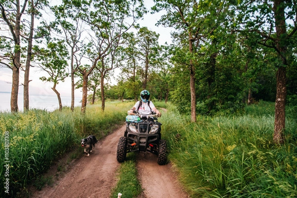 Fototapeta a girl and a guy bikers ride quad bikes in a beautiful green forest on a river cliff, their dogs are running nearby