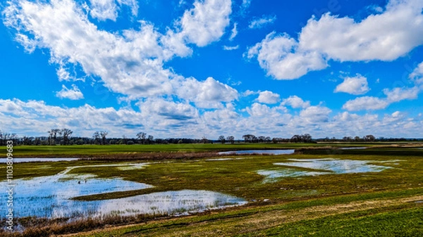 Fototapeta Die Elbaue bei Wehningen, Ortsteil von Amt Neuhaus
