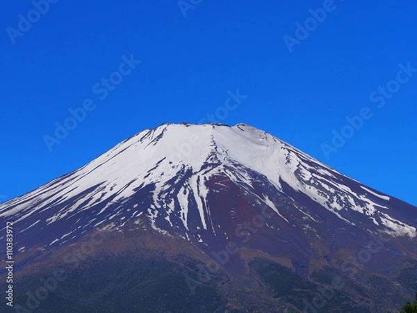 Fototapeta 初夏の富士山