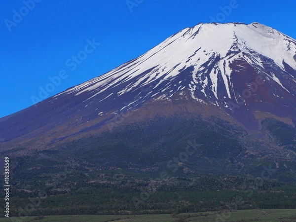 Fototapeta 初夏の富士山