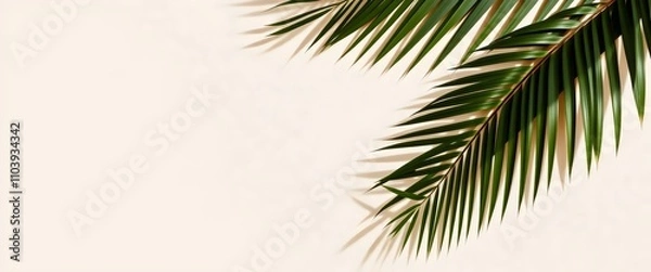 Fototapeta Tropical Palm Leaves: Minimalist Design on Beige Background for Summer and Spring Projects.
