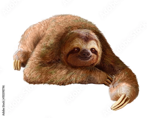 Obraz Happy sloth