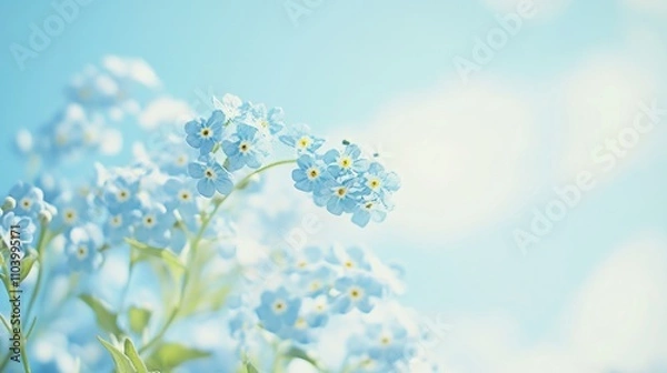 Fototapeta A cluster of delicate blue forget-me-nots on a soft sky blue background, artistic close-up shot, Minimalist style