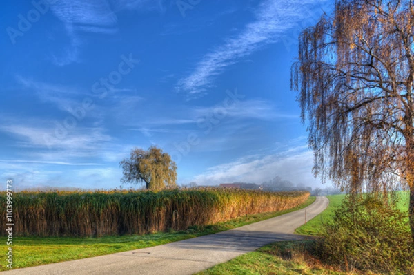Obraz Wunderschöne Herbstlandschaft mit einem Feld und Bäumen bei blauem Himmel