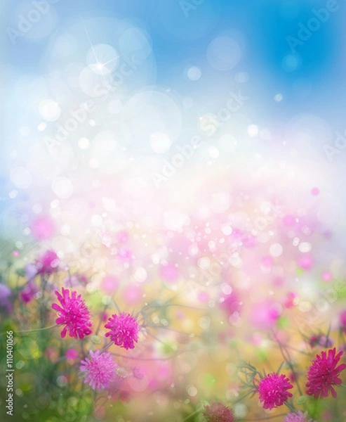 Obraz Sunshine, floral, nature background.