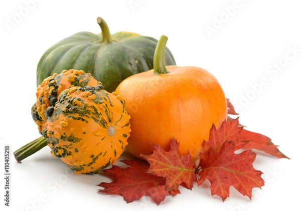Obraz Mini dynie na białym tle