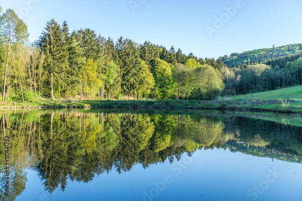 Obraz Waldlandschaft gespiegelt