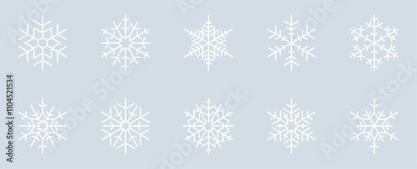 Fototapeta Set of 10 Snowflake Design Isolated on Ice Grey Background - 20/20