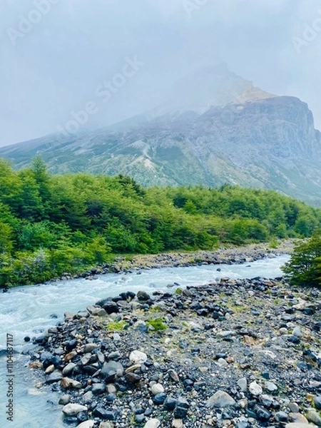 Obraz river in the mountains