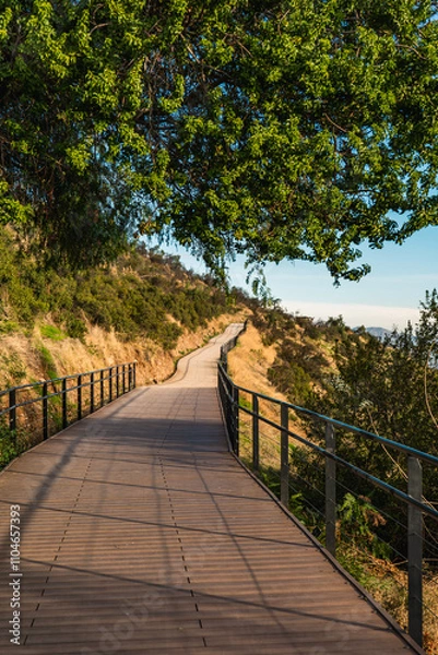 Fototapeta wooden path in the mountain at the golden hour with grass and a tree