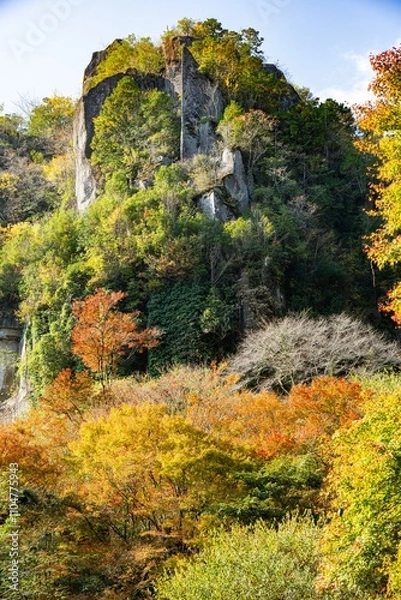 Obraz 一目八景の紅葉