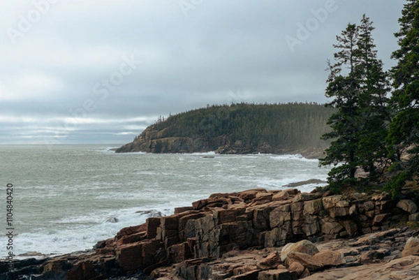 Obraz coastal maine on foggy day acadia national park waves crashing on the beach pine forests on the atlantic ocean rocky coastal shores