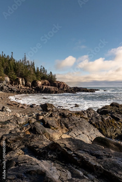 Obraz rocky beach in the north east maine waves crashing on rocks pine trees by the coast clouds in the blue sky