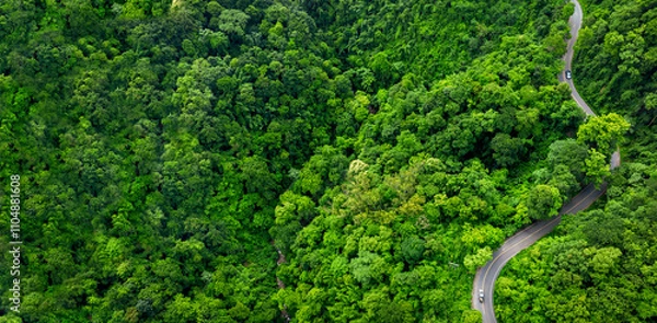 Obraz Road rainforest ecosystem and healthy environment concept , Road in the middle of the forest Concept of using electric cars to protect the environment and transportation