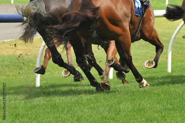 Obraz Horse racing action