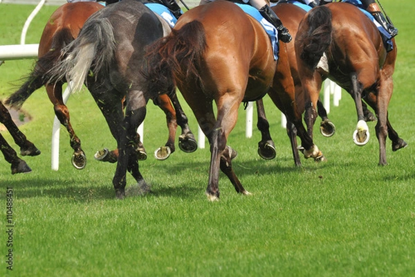 Obraz Horse racing action