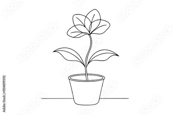 Fototapeta Line Drawing of Potted Flower - Elegant Line Art Vector Illustration