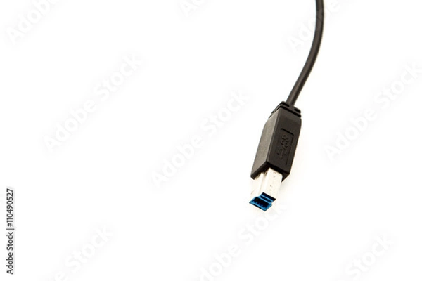 Obraz Black USB cable port.