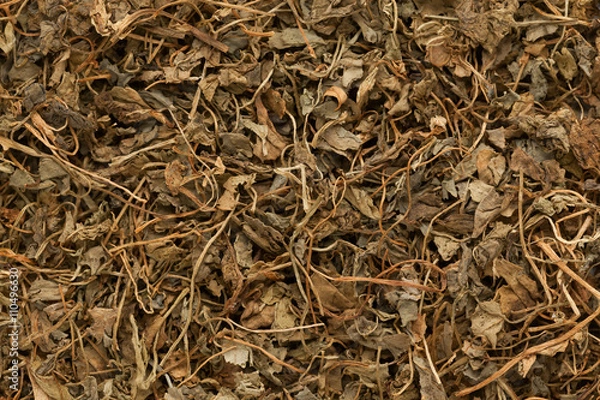Fototapeta Organic Kasoori Methi or Dried fenugreek (Trigonella Foenum Graecum) leaves. Macro close up background texture. Top view.