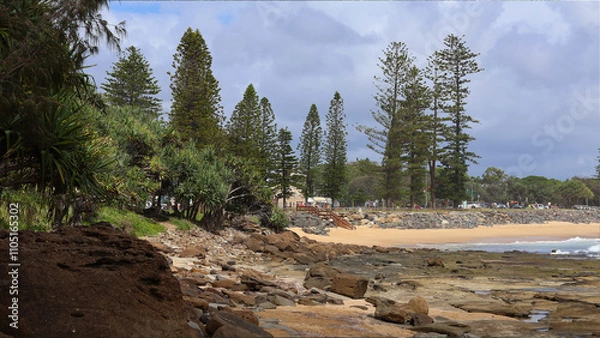 Obraz Moffat beach pines local rocks and ocean