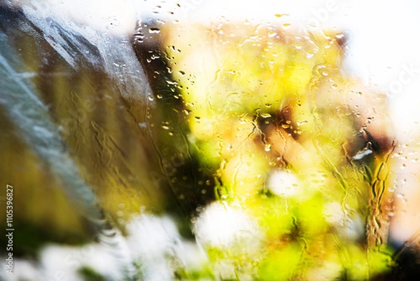 Obraz Rain water on car front wind screen with blurred green and yellow trees and a blurred building 