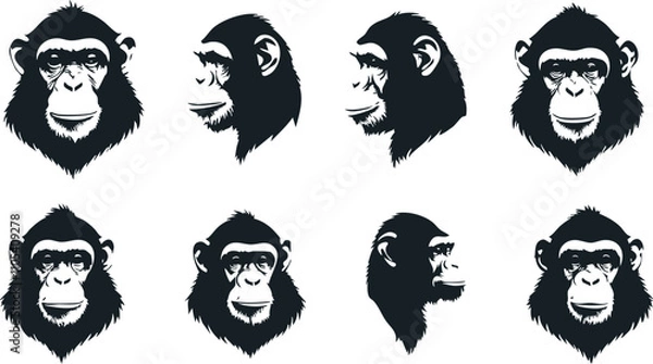 Fototapeta Chimpanzee Vector Art Collection