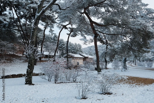 Obraz 대한민국 전통의 건축물 한옥과 눈 쌓인 소나무에 상고대 함박눈이 어우러진 푸른 하늘의 하얀 겨울의 설경