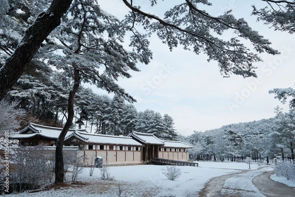 Obraz 대한민국 전통의 건축물 한옥과 눈 쌓인 소나무에 상고대 함박눈이 어우러진 푸른 하늘의 하얀 겨울의 설경