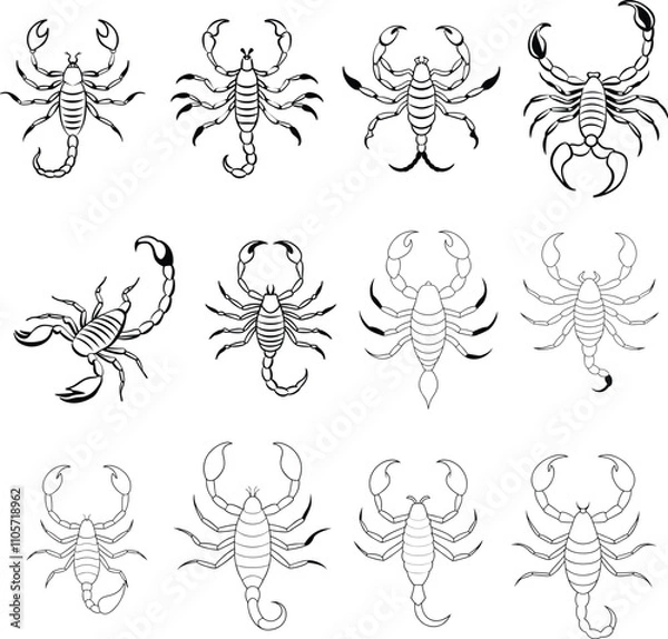 Fototapeta Set of Scorpion Vector Illustrations in Detailed and Modern Design