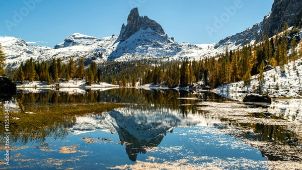 Fototapeta Winter Serenity at Lago Federa: Orange Trees, Snow, and Dito di Dio Peaks