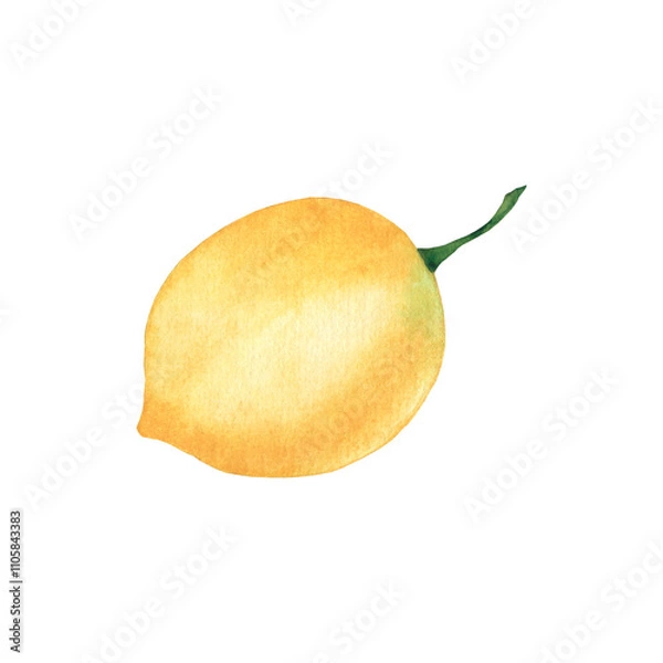Obraz Watercolor whole lemon on white background.