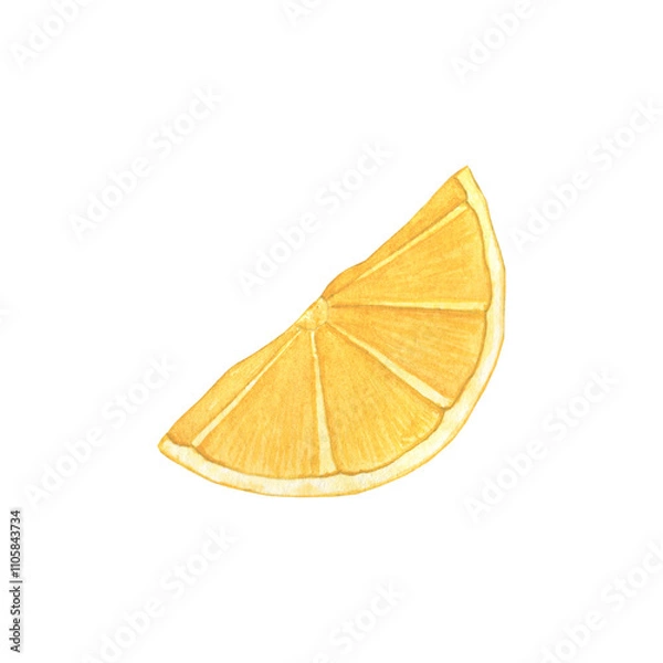 Obraz Watercolor lemon slice. For product packaging and banner design