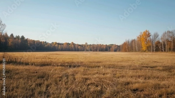 Fototapeta Expansive meadow with short grass, distant forest, and clear sky in park on sunny autumn day.