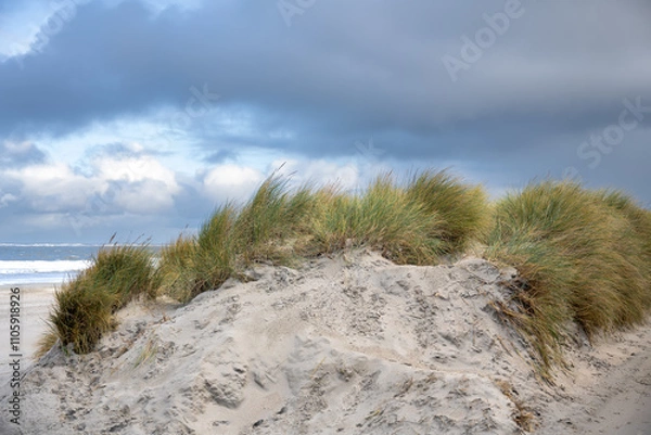 Obraz Sand dune with green grass in the wind