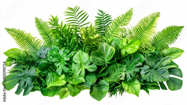 Obraz Tropical leaves foliage plant jungle bush floral arrangement nature backdrop isolated on white background, clipping path included