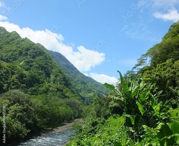 Obraz vallée de Papenoo