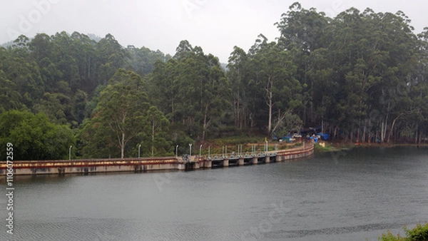 Obraz High-resolution images from various categories