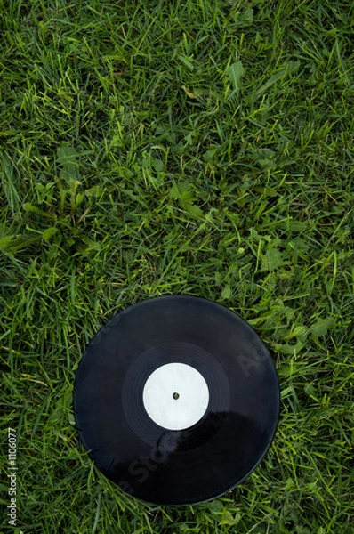 Fototapeta disk on the green grass