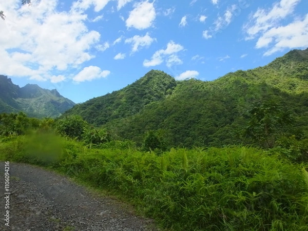 Obraz nature Polynésie