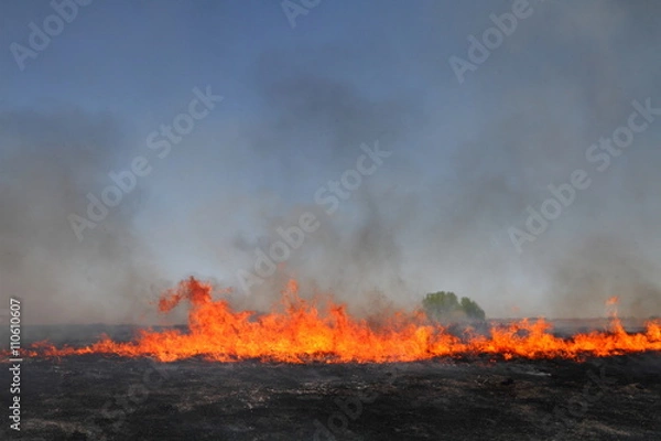 Obraz Prairie Fire