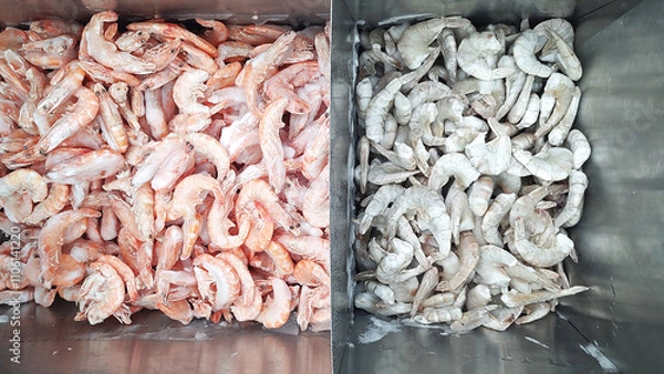 Fototapeta Species of frozen shrimps close up in a freezer