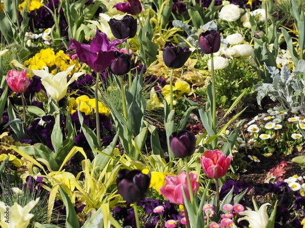 Obraz Wunderschönes Blumenbeet