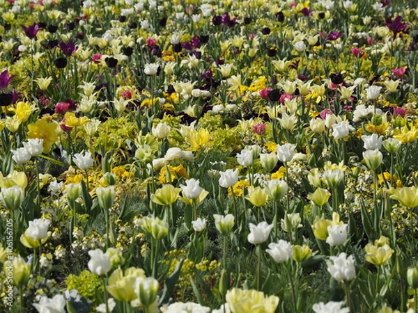 Obraz Wunderschönes Blumenbeet