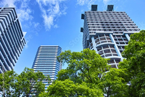 Fototapeta 新緑と高層マンション