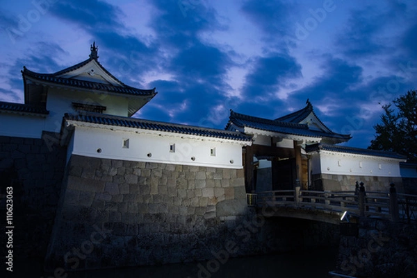 Obraz 巽櫓と東御門