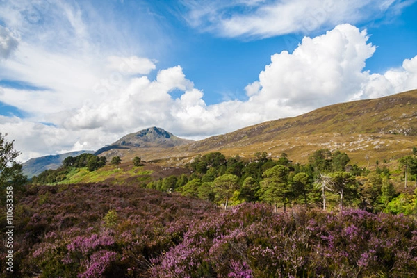 Obraz Glen Affic Scotland